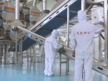2025年的第一個月，承德亞歐果仁有限公司在山杏產(chǎn)業(yè)的道路上持續(xù)奮進，展現(xiàn)出蓬勃的發(fā)展活力。